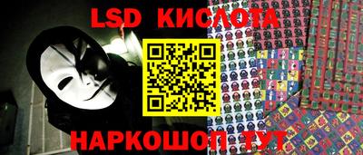 меф Кингисепп